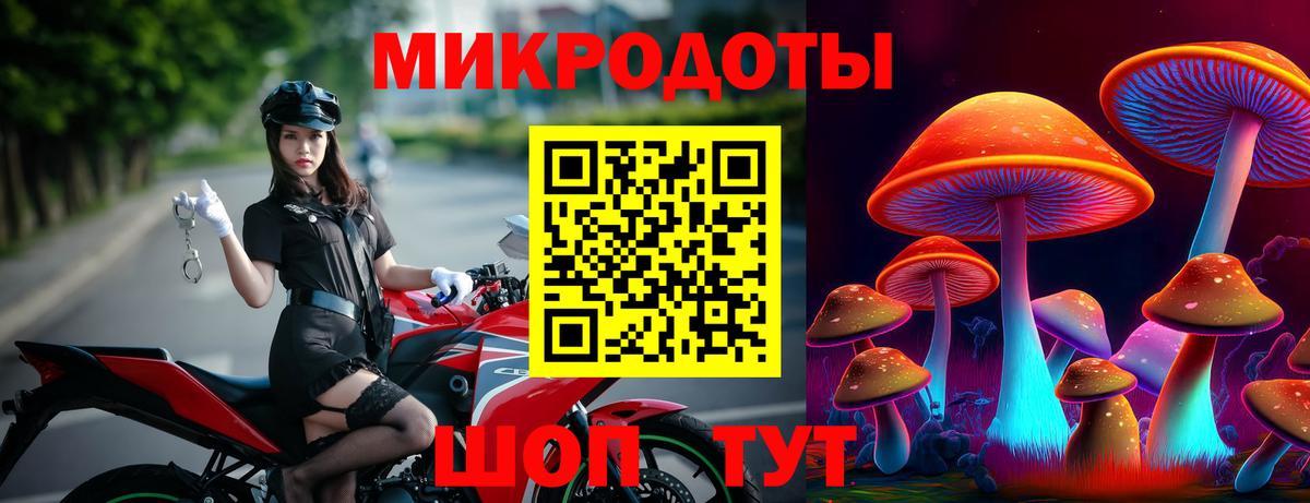 Мариинск  Псилоцибиновые грибы прущие грибы  Вход с VPN 